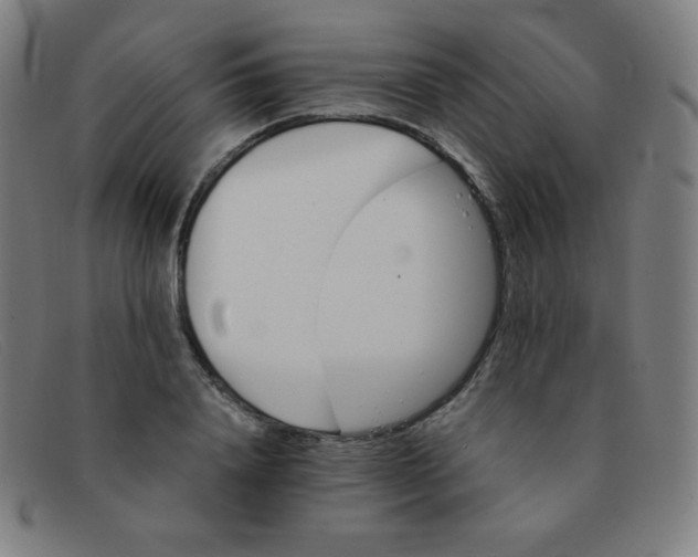 X0000091340840200708311454