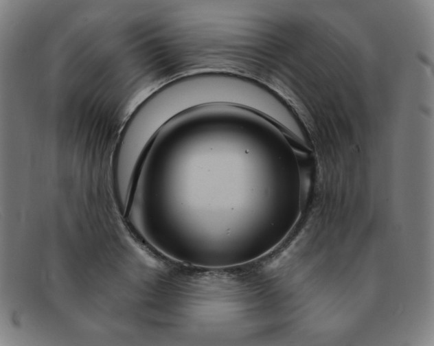 X0000091340842200708311454