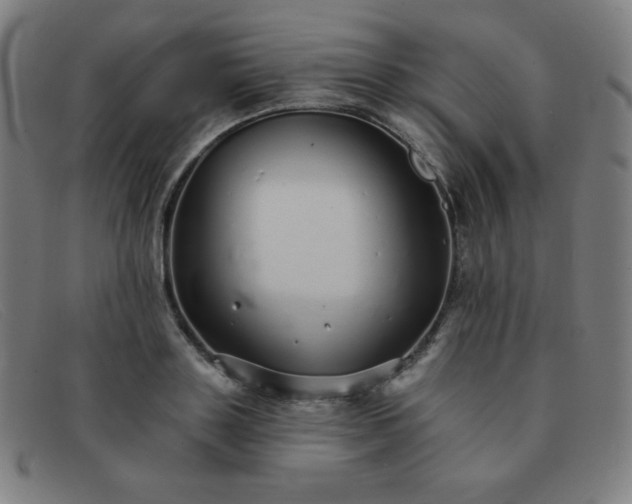 X0000091340843200708311454