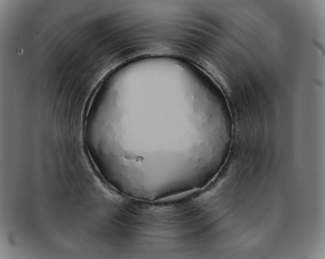 X0000091340845200708311454