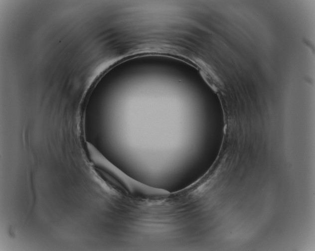 X0000091340846200708311454