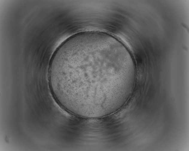 X0000091340847200708311454