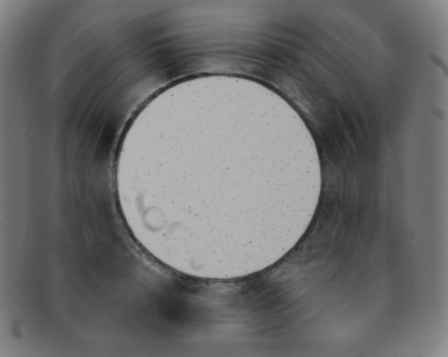 X0000091340848200708311454