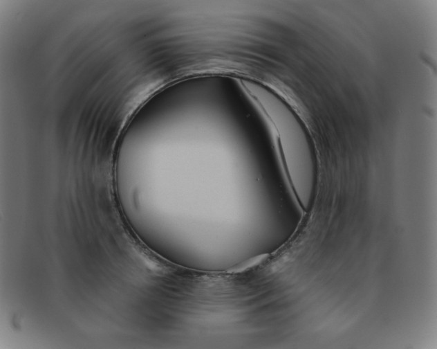 X0000091340850200708311454