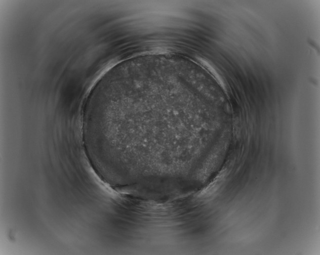 X0000091340851200708311454