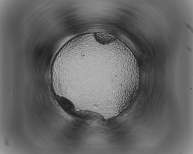 X0000091340852200708311454