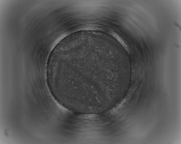 X0000091340853200708311454