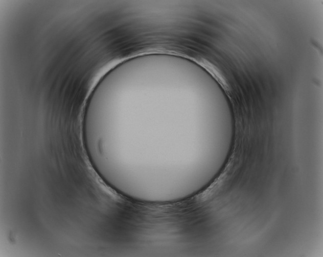 X0000091340854200708311454