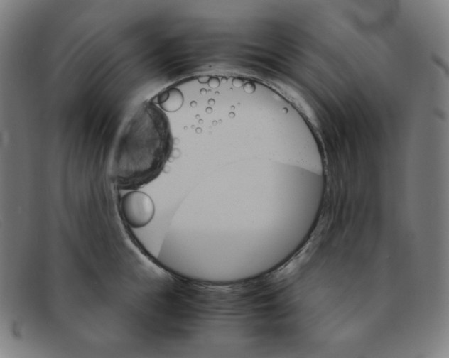 X0000091340855200708311454