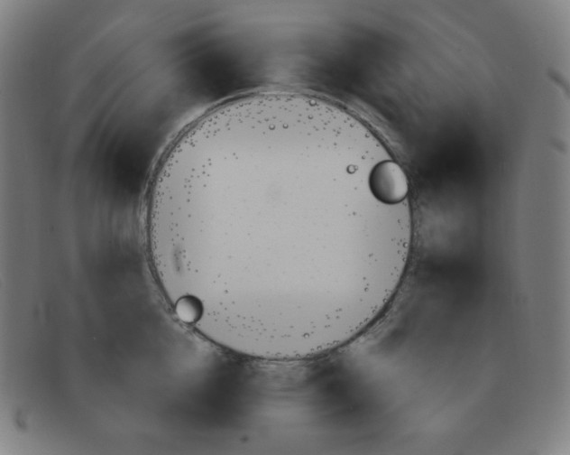 X0000091340856200708311454