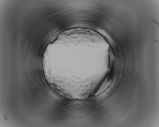 X0000091340857200708311454