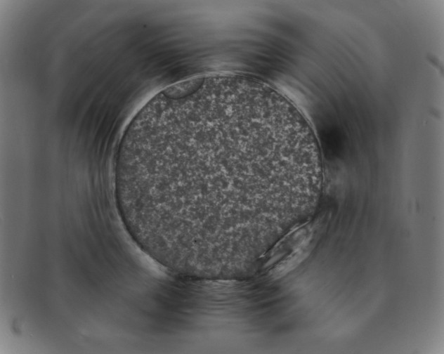 X0000091340859200708311454