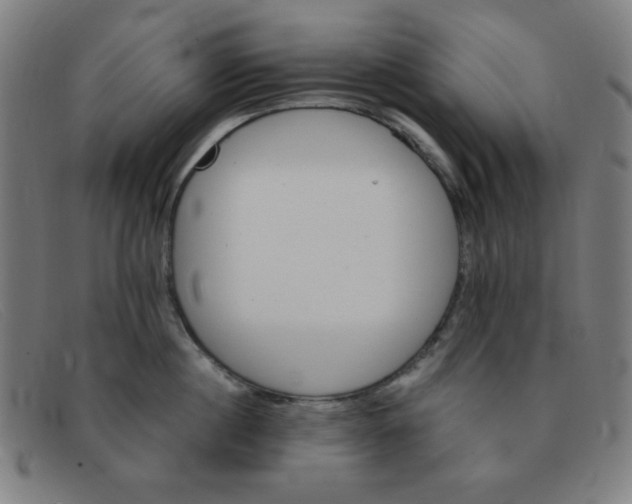 X0000091340860200708311454