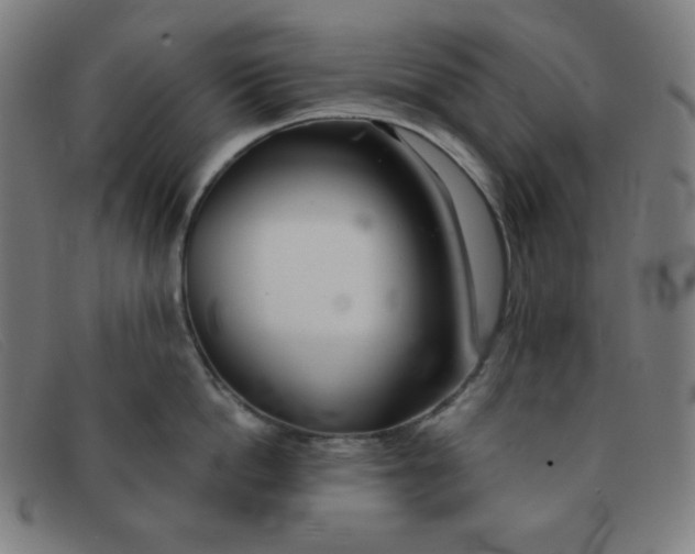 X0000091340862200708311454