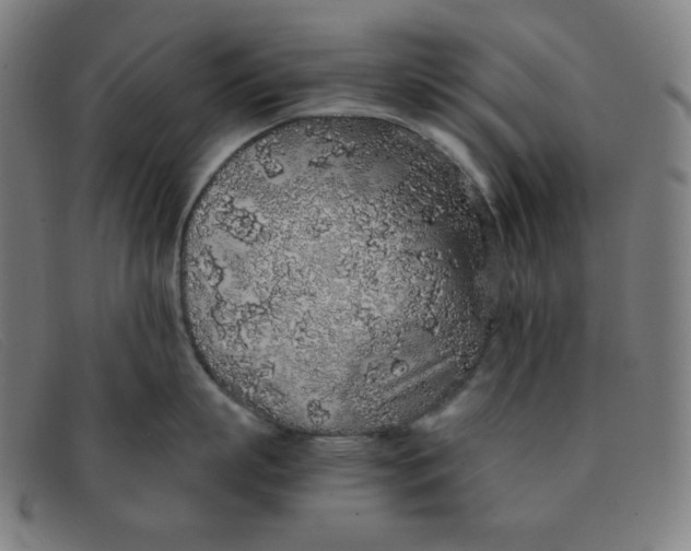 X0000091340863200708311454