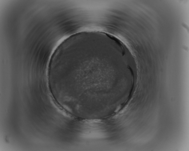 X0000091340864200708311454