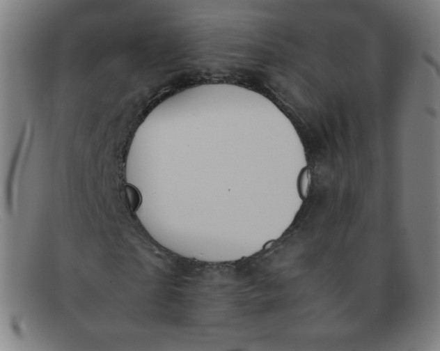 X0000091340865200708311454