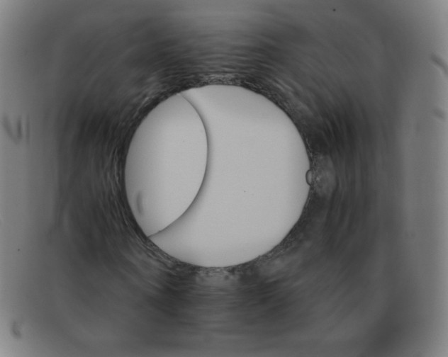 X0000091340866200708311454