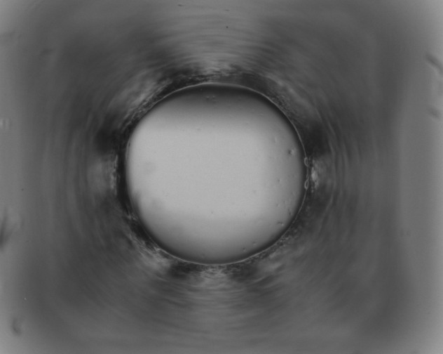 X0000091340867200708311454