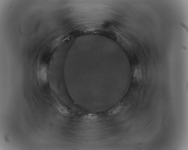 X0000091340868200708311454