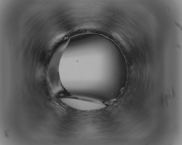 X0000091340872200708311454