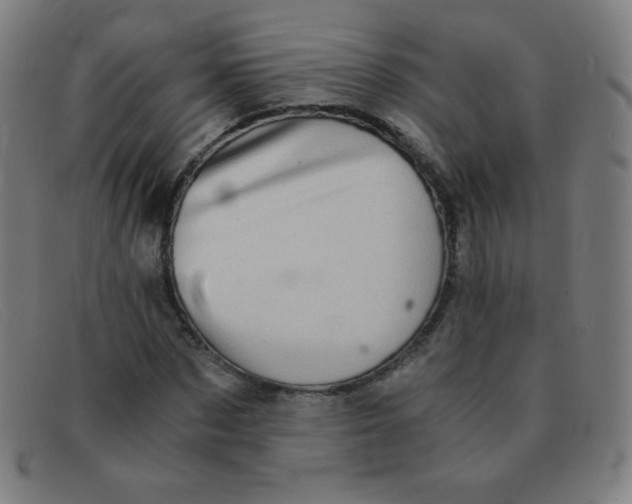 X0000091340873200708311454