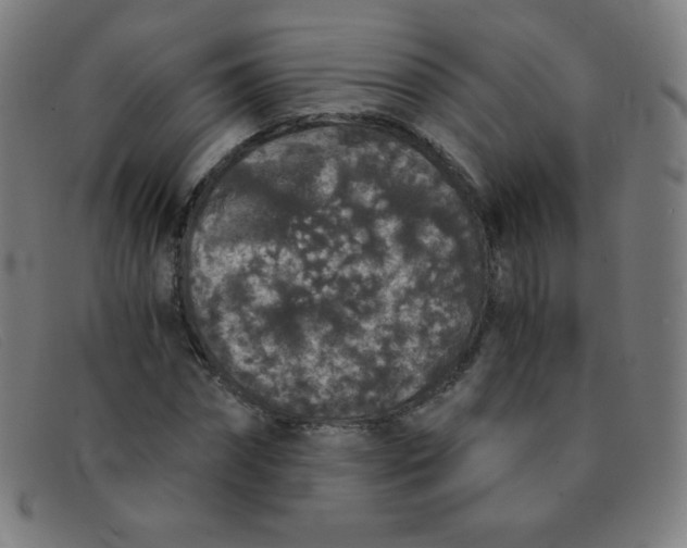 X0000091340874200708311454