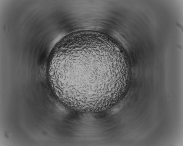 X0000091340875200708311454