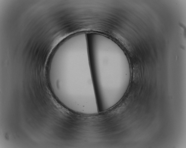 X0000091340876200708311454