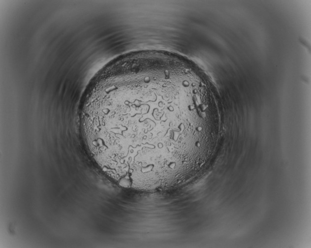 X0000091340879200708311454