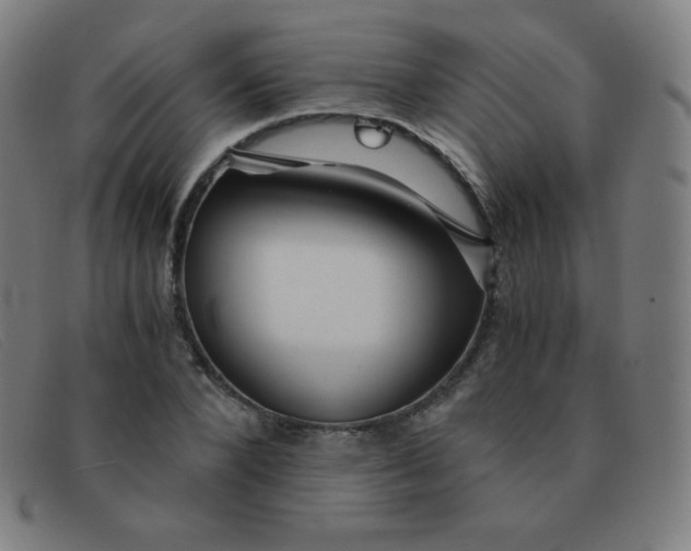 X0000091340880200708311454