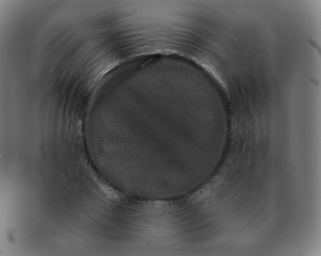 X0000091340881200708311454