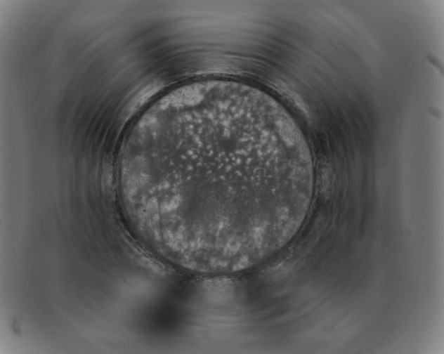 X0000091340882200708311454