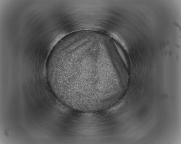 X0000091340883200708311454