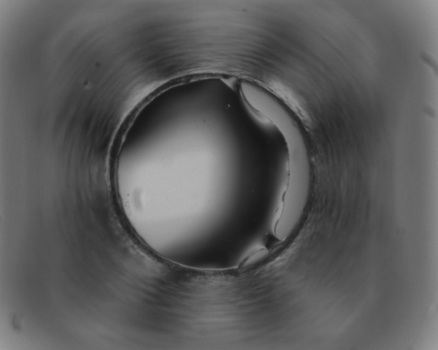 X0000091340884200708311454