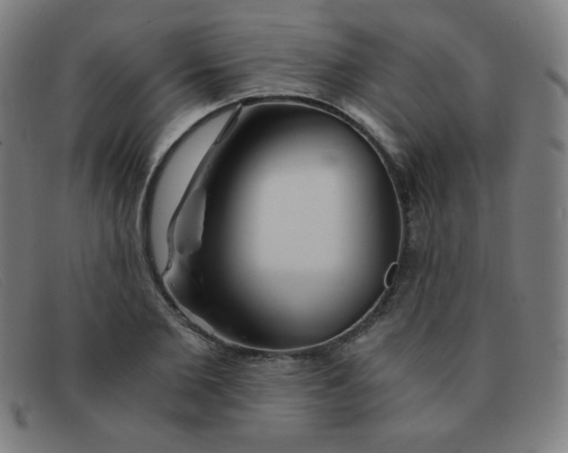 X0000091340885200708311454