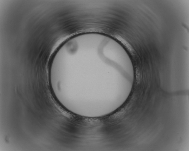 X0000091340886200708311454