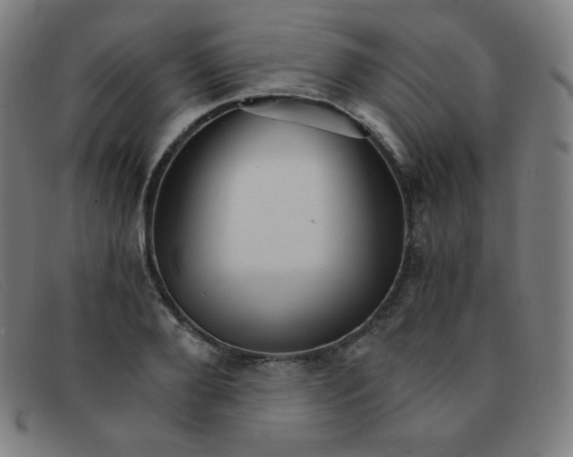 X0000091340888200708311454