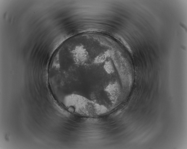 X0000091340890200708311454