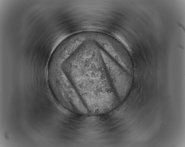 X0000091340891200708311454