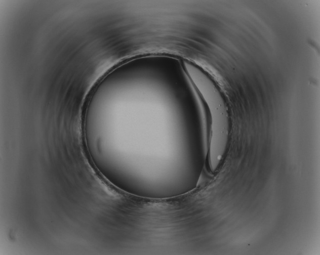 X0000091340894200708311454