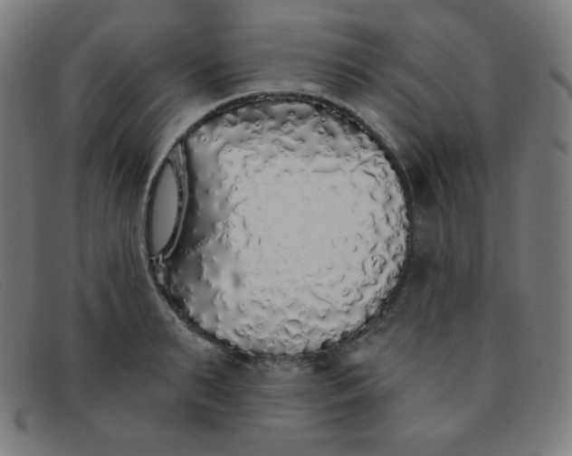 X0000091340895200708311454