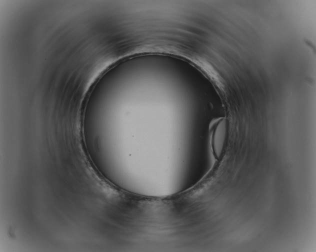 X0000091340896200708311453