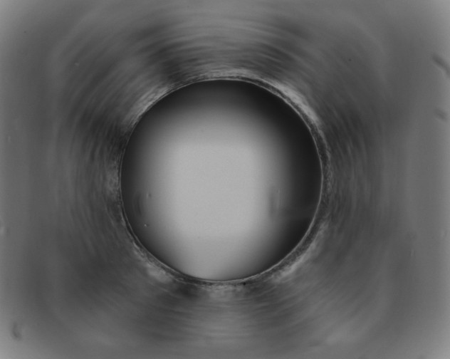 X0000091340897200708311453