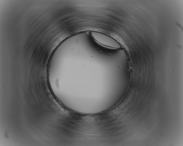 X0000091340898200708311453