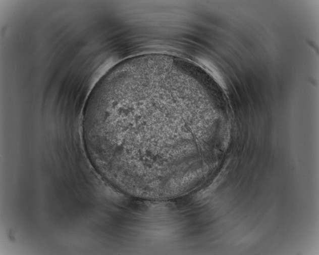 X0000091340899200708311453