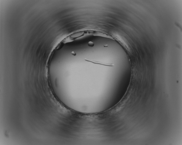 X0000091340900200708311453