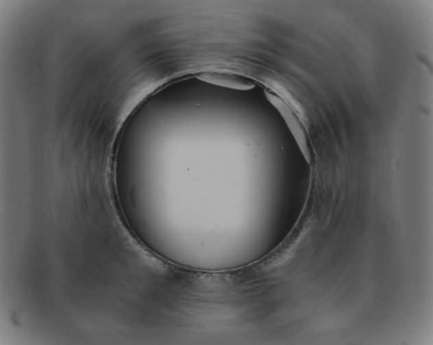 X0000091340901200708311453