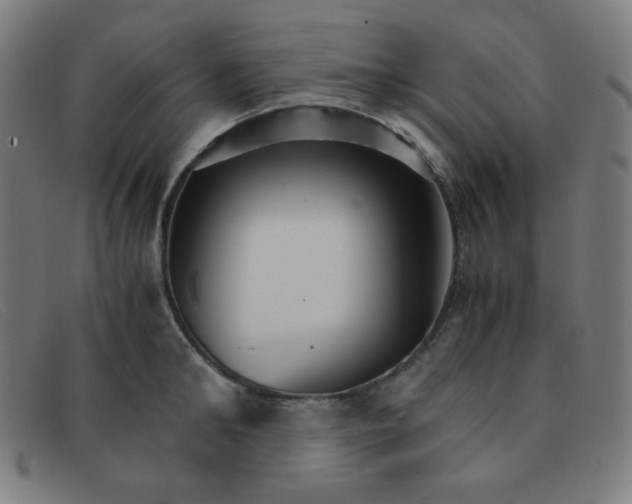 X0000091340902200708311453