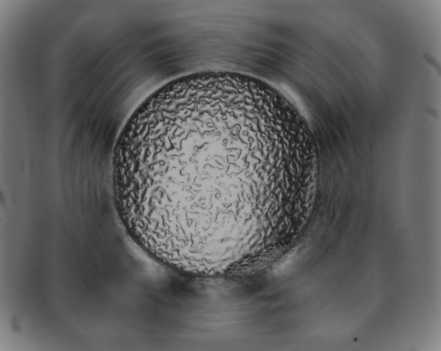 X0000091340903200708311453